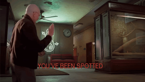 A Man Is Standing In A Room With A Lizard On The Wall And The Words You 'Ve Been Spotted GIF