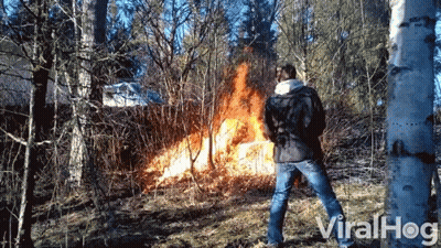 A Man Is Standing In Front Of A Fire In The Woods And The Words Viralhog Are On The Bottom GIF