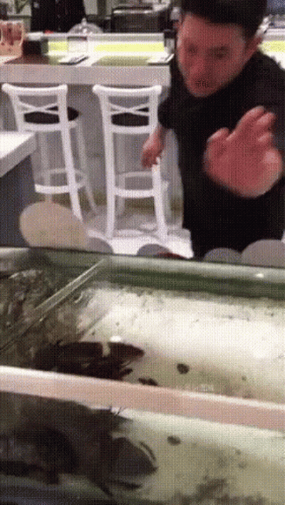 A Man Is Standing In Front Of A Fish Tank With A White Chair In The Background GIF