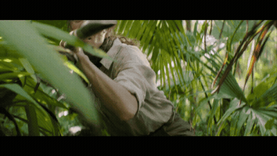 A Man Is Standing In The Jungle Looking Through A Leaf GIF