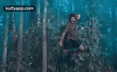 A Man Is Standing In The Middle Of A Forest In The Water . GIF