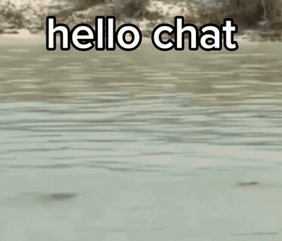 A Man Is Standing In The Water With His Hand On His Head And Says Hello Chat . GIF