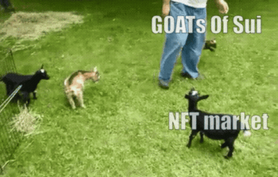 A Man Is Standing Next To A Group Of Goats In The Grass . GIF