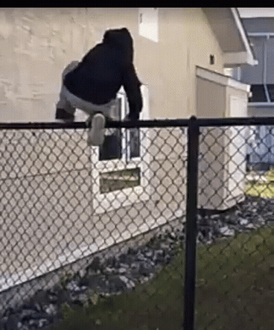 A Man Is Standing On A Chain Link Fence Looking Out A Window . GIF
