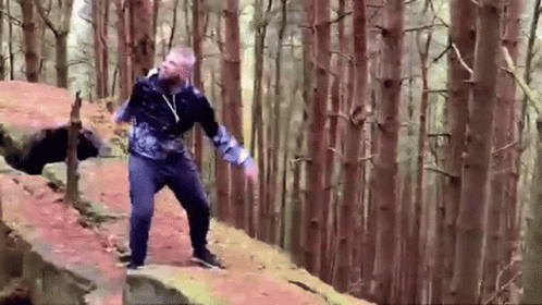 A Man Is Standing On A Rock In A Forest . GIF