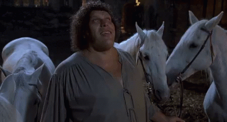 A Man Is Surrounded By White Horses And Says Hello , Lady GIF