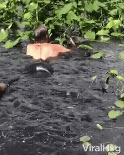 A Man Is Swimming In A Pond Surrounded By Plants And Leaves . GIF