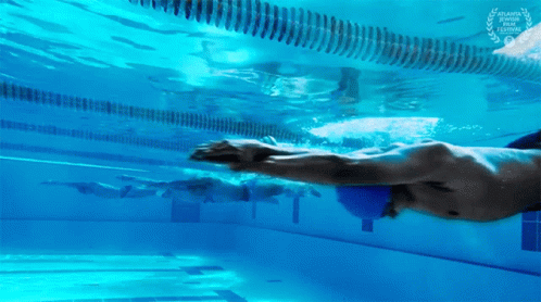 A Man Is Swimming In A Pool With A Atlanta International Film Festival Laurel Wreath GIF