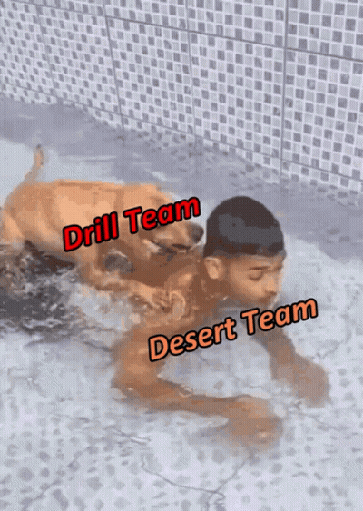 A Man Is Swimming In A Pool With A Dog And The Words " Drill Team " And " Desert Team " Above Him GIF