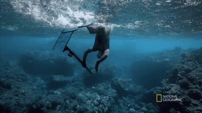 A Man Is Swimming In The Ocean With A National Geographic Logo GIF