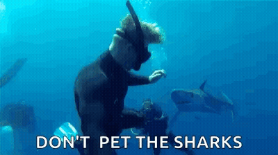 A Man Is Swimming In The Ocean With Sharks And Says `` Do N't Pet The Sharks '' . GIF