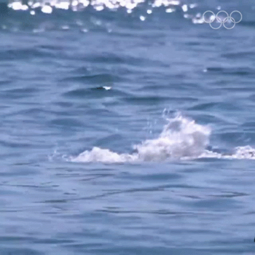 A Man Is Swimming In The Ocean With The Olympic Rings Visible In The Background GIF