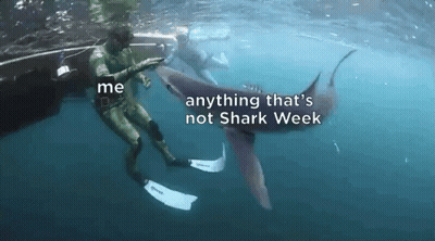 A Man Is Swimming With A Shark And Says " Me Anything That 'S Not Shark Week " In The Water GIF