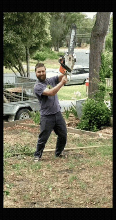 A Man Is Swinging A Chainsaw At A Tree Trunk GIF