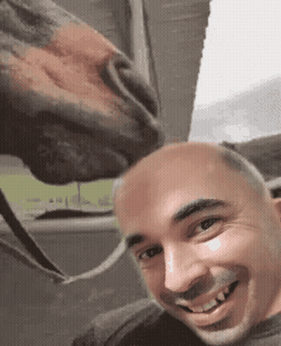 A Man Is Taking A Picture With A Horse Licking His Face GIF