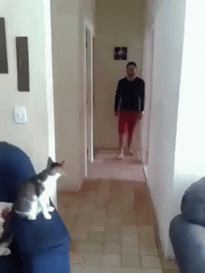 A Man Is Walking Down A Hallway With A Cat Sitting On A Couch . GIF