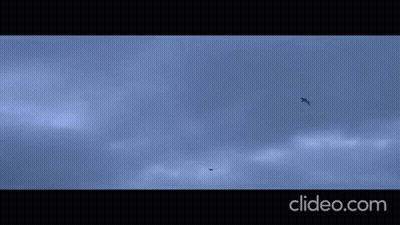 A Man Is Walking On A Beach In A Clip From Clideo GIF