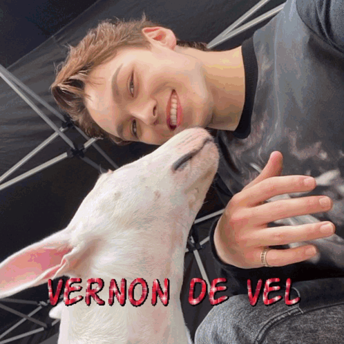 A Man Kisses A White Dog With The Name Vernon De Vel Written On The Bottom GIF
