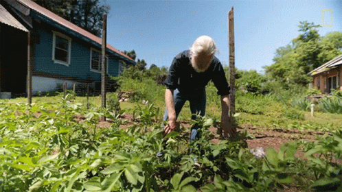 A Man Kneeling In A Garden With A National Geographic Logo In The Corner GIF