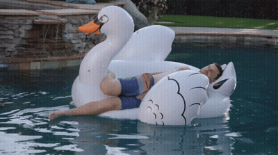 A Man Laying On An Inflatable Swan In A Swimming Pool GIF