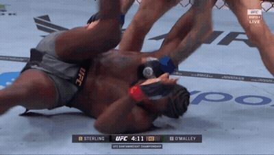 A Man Laying On The Ground During A Ufc Match GIF