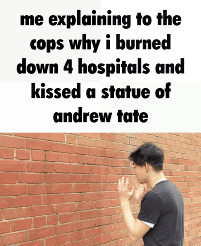 A Man Leaning Against A Brick Wall With A Meme Explaining To The Cops GIF