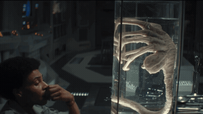 A Man Looks At A Display Of A Creature In A Glass Tank GIF