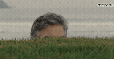 A Man Peeking Out Of A Grassy Field With A Watermark That Says ' A ' On It GIF