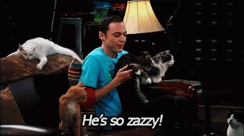 A Man Petting A Cat With The Words He 'S So Zazzy On The Bottom GIF