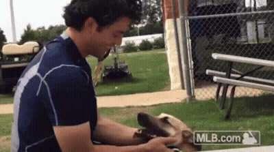 A Man Petting A Dog With Mlb.com Written On The Bottom GIF