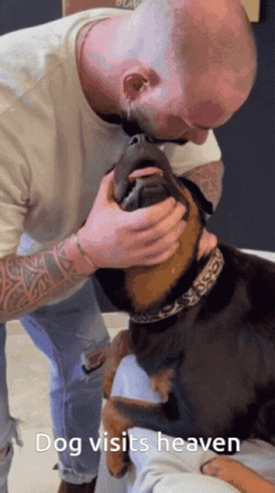 A Man Petting A Dog With The Words Dog Visits Heaven On The Bottom GIF