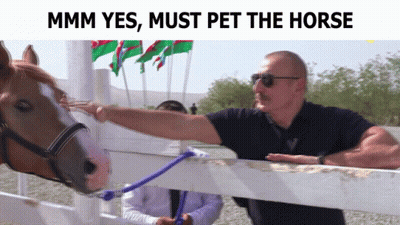 A Man Petting A Horse With A Caption That Says ' Mmm Yes , Must Pet The Horse ' GIF