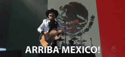 A Man Playing A Guitar In Front Of A Mexican Flag With The Words " Arriba Mexico " On The Bottom GIF