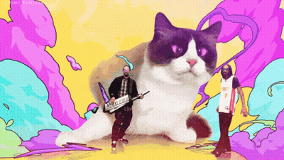 A Man Playing A Keyboard In Front Of A Grumpy Cat And A Man Wearing A Jersey That Says Miami GIF