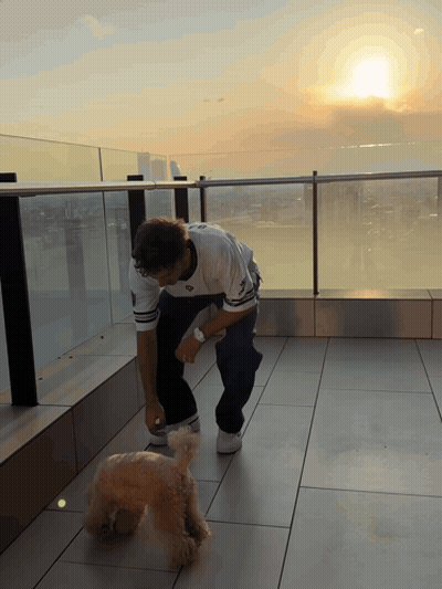 A Man Playing With A Dog On A Balcony With The Sun Setting Behind Him GIF