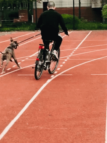 A Man Riding A Bike With A Dog On A Leash Behind Him GIF
