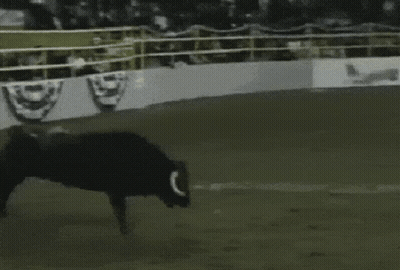 A Man Riding A Bull On A Rodeo Arena GIF