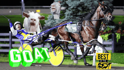 A Man Riding A Horse Drawn Carriage With The Word Goat On The Side GIF