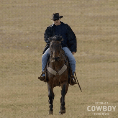 A Man Riding A Horse In A Field With Ultimate Cowboy Showdown Written On The Bottom GIF