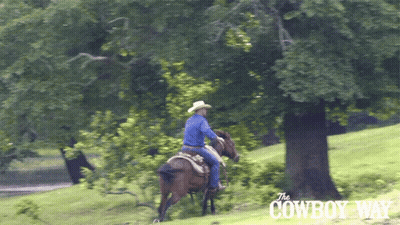 A Man Riding A Horse In A Park With The Cowboy Way Written On The Bottom GIF