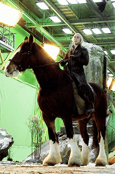 A Man Riding A Horse In Front Of A Green Wall GIF