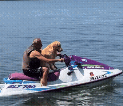 A Man Riding A Polaris Jet Ski With A Dog GIF
