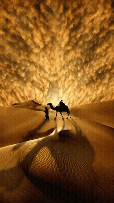 A Man Riding On The Back Of A Camel In A Desert GIF
