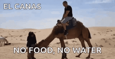 A Man Riding On The Back Of A Camel In The Desert With The Words El Canas No Food No Water Below Him GIF