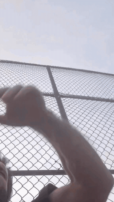 A Man 'S Arm Is Visible Behind A Chain Link Fence Against A Blue Sky GIF