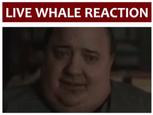 A Man 'S Face Is Under A Sign That Says " Live Whale Reaction " GIF