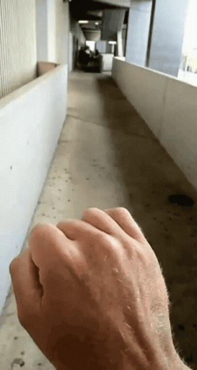 A Man 'S Hand Is Visible In A Hallway GIF