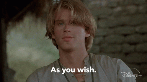 A Man Says " As You Wish " In Front Of A Disney Logo GIF