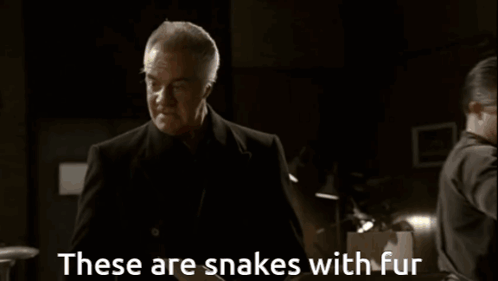 A Man Says These Are Snakes With Fur In A Dark Room GIF