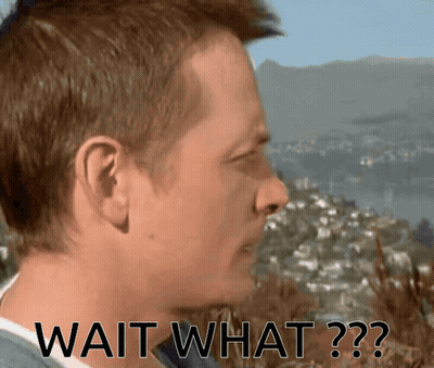 A Man Says Wait What In Front Of A Landscape GIF